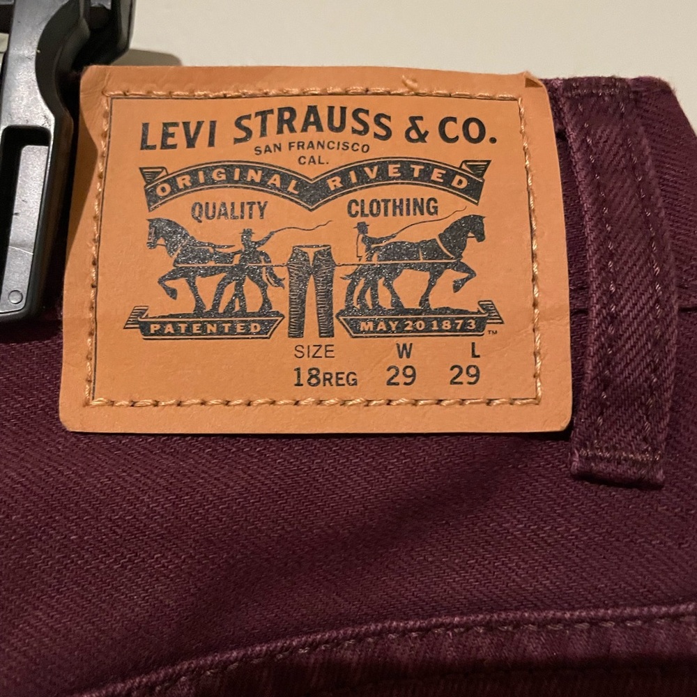 New , Boys , Levi's brand Jeans/Pant